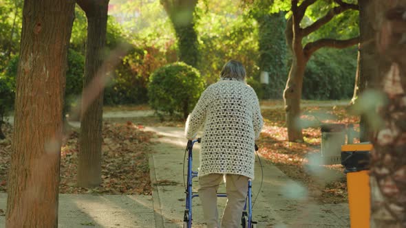 Old Woman Walks in Shade of Trees Using Rollators in Park