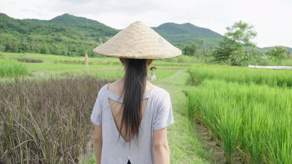 Girl Farmer Walking In Rice Field