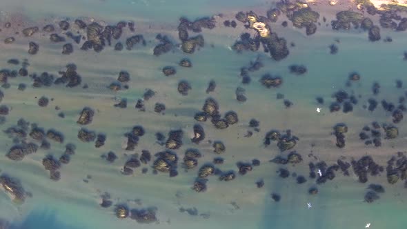 Bird's Eye View of the River and Flying Birds