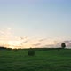 Lonely Tree on Green Field Against Sunset Background - VideoHive Item for Sale