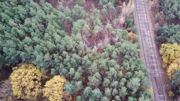 Aerial View of Trees Near Rail in Autumn Season