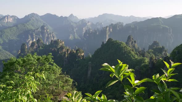 Zhangjiajie National Forest Park, Hunan, China. Landscape with Vertical Cliffs Covered with Forest
