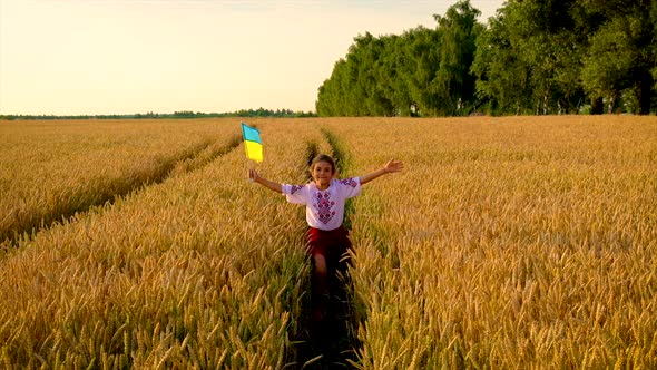 Child in Wheat Field Concept for Ukraine Independence Day