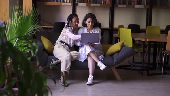 Two Stylish Focused Female Friends Sitting on Grey and Yellow Couch with One Laptop Studying or