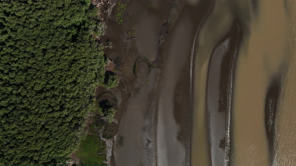 Overhead motion aerial of forest and sandy shore of Rio de la Plata