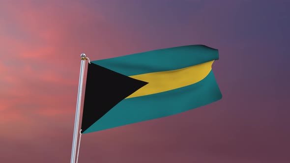 Flag Of Bahamas Waving 4k