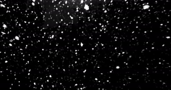 Real Snow Falling Isolated Against Black Background