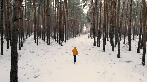 a Man Runs in a Snowy Pine Forest with His Back to the Camera