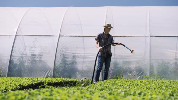 Pretty Farmer Irrigates Green Young Seedlings on the Field Near the Greenhouse