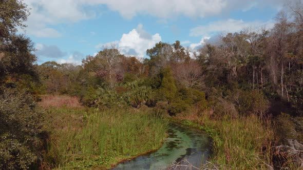 Emerald water flows in Rocks Springs Run at Kings Landing Florida