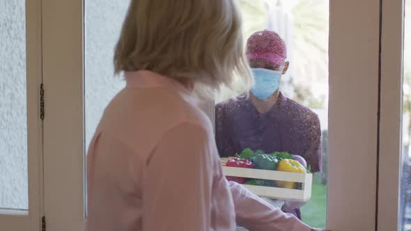 Delivery man wearing face mask delivering groceries to senior woman at home