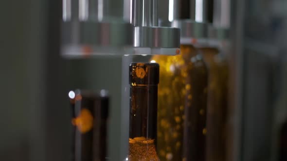 Bottling Wine By the Machine Into Bottles