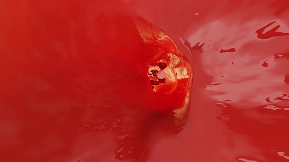 Blood Pumping Through An Artery, Blood Vessel In Circulatory System, 3d render