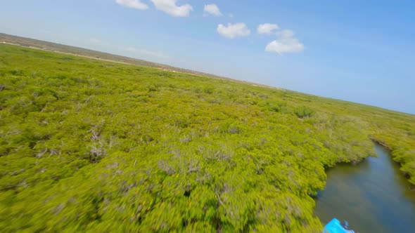 People on ecotourism platform along river crossing mangrove forest in El Morro National park, Montec