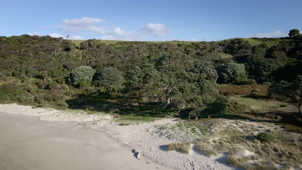 Quiet And Empty Sandy Beach During Low Tide At Tawharanui Regional Park In Auckland, New Zealand. -