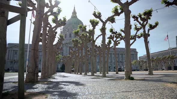 San Francisco Civic Center and trees in the park