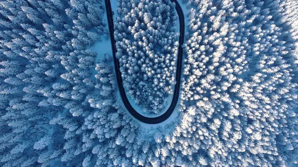 Snow-covered Forest And Asphalt Road At Winter From Above