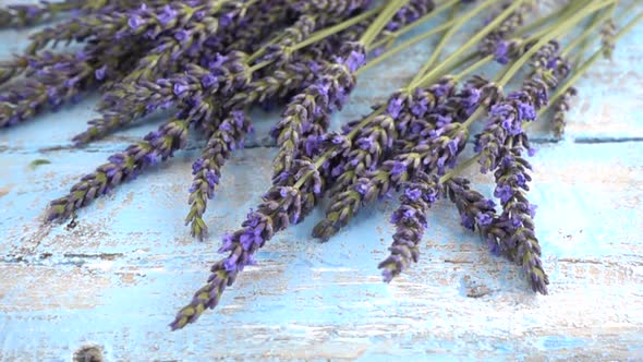 Bouquet of fresh lavender flowers drops on vintage wooden light blue surface. Slow motion.