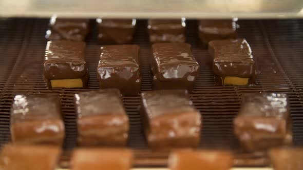 Chocolate Sweets on the Conveyor Belt