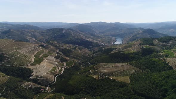 Mountains Covered Rows of Vineyards on Bank of Douro River Peso Da Regua