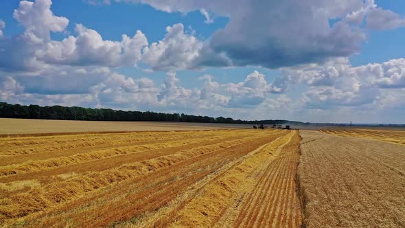 Flying over the field during harvesting. Agricultural equipment on the field.