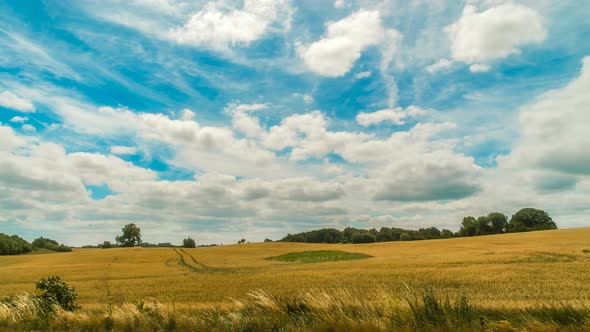 Beautiful Wheat Field In Germany Time Lapse