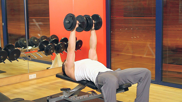 Handsome Muscular Man Exercises at the Gym