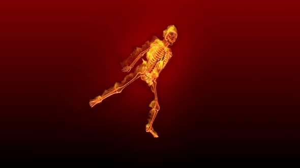 Fiery 3D Skeleton Hot Dance  Looped on Red