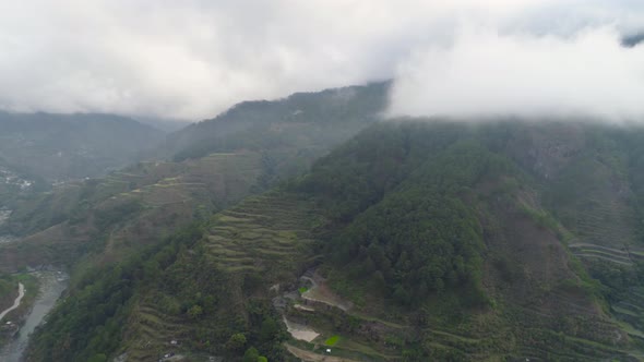 Rice Terraces in the Mountains