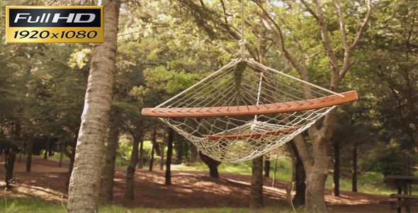 Hammock