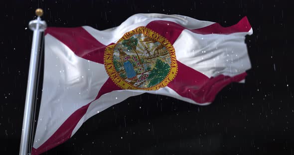 Flag of American State of Florida