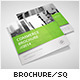 Business Square Tri-fold Brochure - GraphicRiver Item for Sale