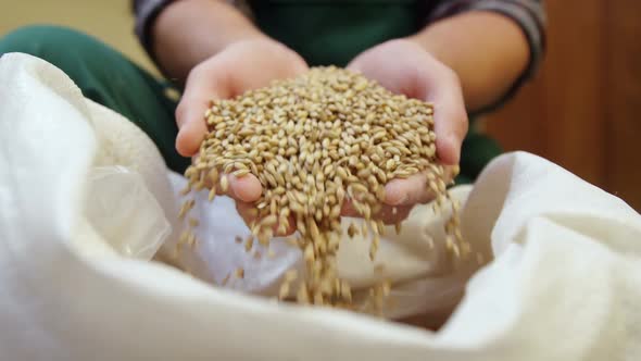 Brewer pouring grains into sack