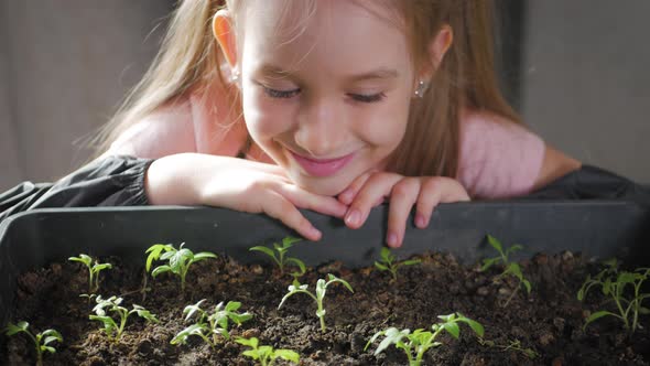 Fun Little Gardener Care for Plants. Cute Little Child Girl Planting Seedlings