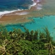Aerial View of Tropical Coastline on Kauai - VideoHive Item for Sale