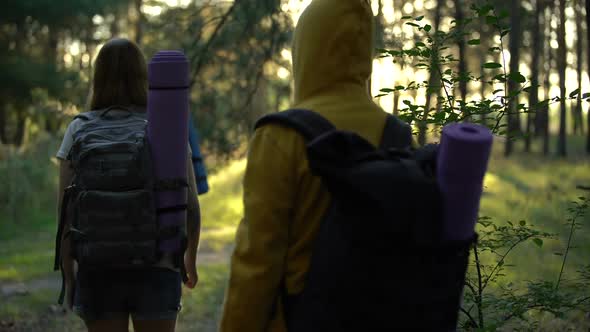 Friends With Rucksacks Hiking in Woods, Branch Blocking Way, Active Lifestyle