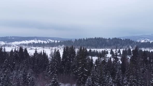 Winter Landscape With Trees Mountains Snow