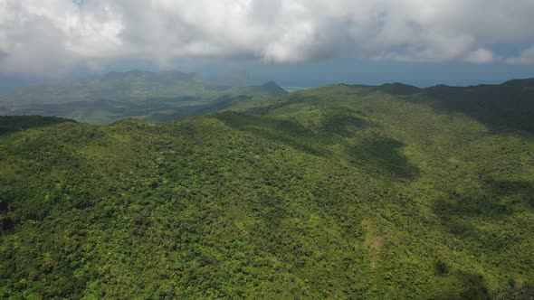 Top View of the Jungle and Blue Sky Mauritius