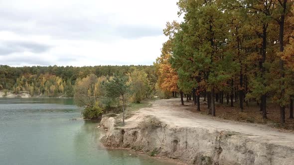 Wild Forest and Lake