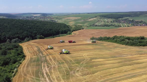Many Combine Harvesters Harvest Crops In A Agricultural Field Aerial View.