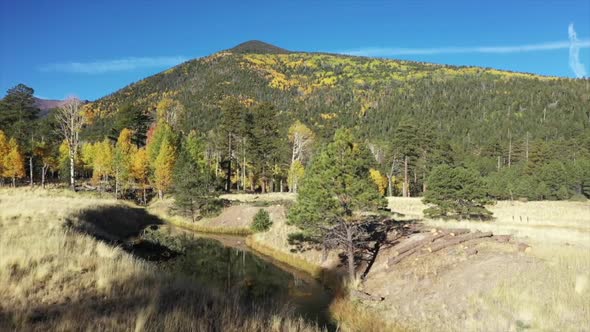 Lockett Meadow 1