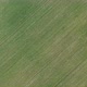 Above green agricultural crop 4K drone footage - VideoHive Item for Sale