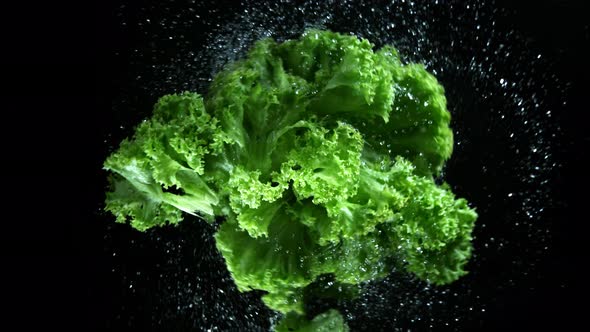 Super Slow Motion Shot of Rotating and Splashing Fresh Lettuce at 1000Fps