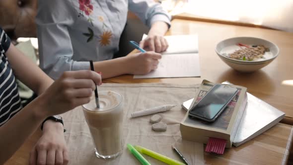 Female Student Writes Course Work on Her Computer Freelancer Girl Working at Cafe Via Notebook