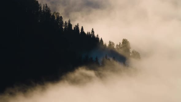 Morning Mist in the Forest, Natural Beautiful Nature Landscape in Mountain, Background