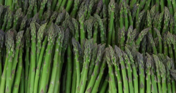Asparagus,also known as  garden asparagus A bundle of cultivated asparagus