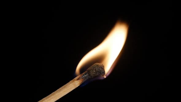 Burning matchstick. Slow-mo