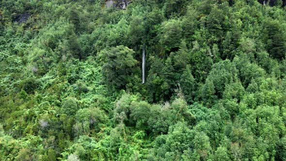 Aerial view truck left of a small waterfall hidden among trees in the Cochamo Valley, Chile.