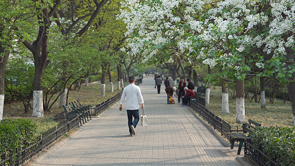 Spring Alley