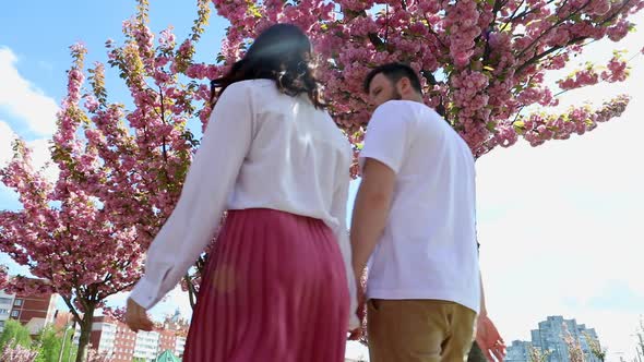 Lovely Couple Walking Together Under Blooming Sakura Trees